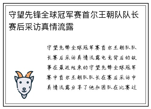 守望先锋全球冠军赛首尔王朝队队长赛后采访真情流露