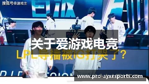 关于爱游戏电竞